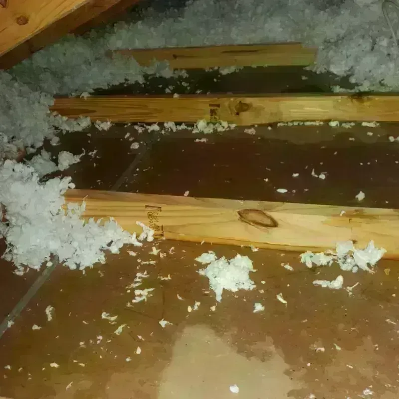 Attic Water Damage in Kimberling City, MO